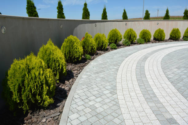 Professional Driveway Pavers in Jeanerette, LA